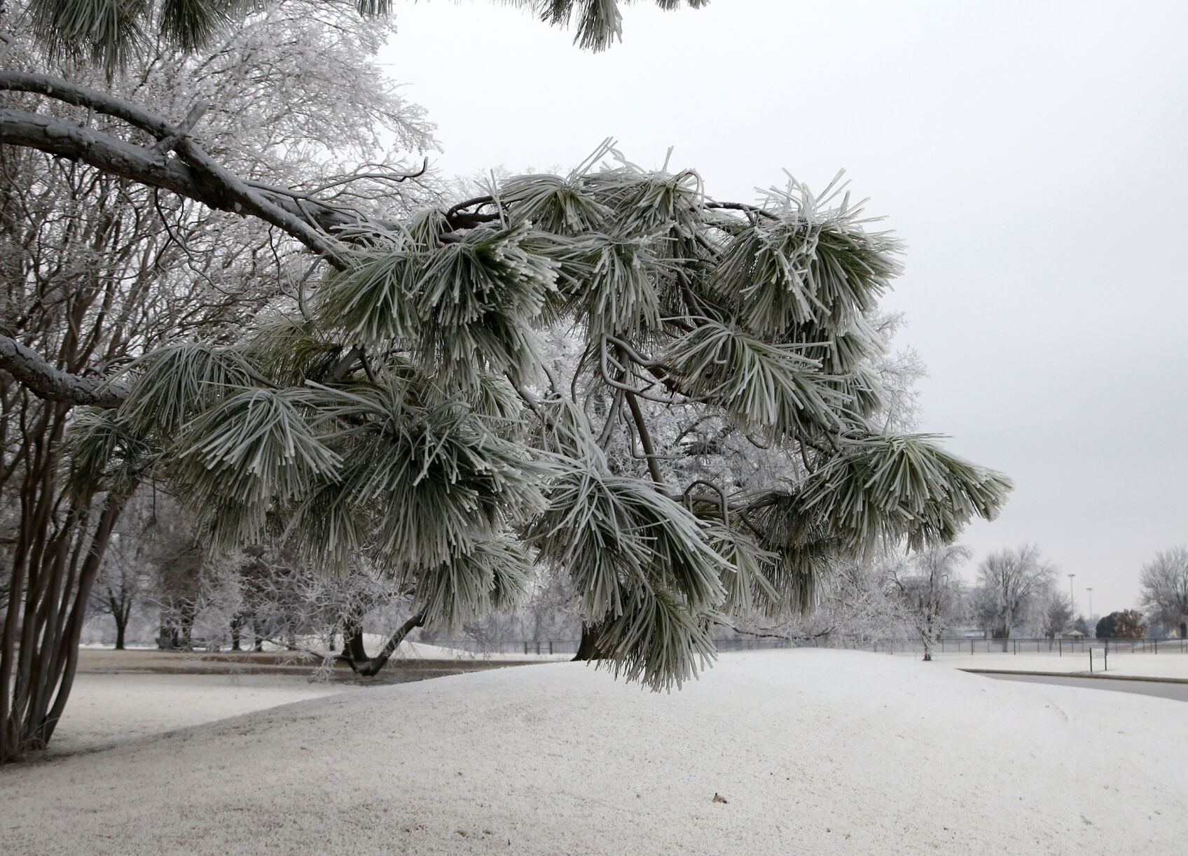 Frost Features